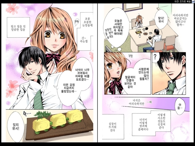 Naisho no Love Mariage | 비밀의 결혼