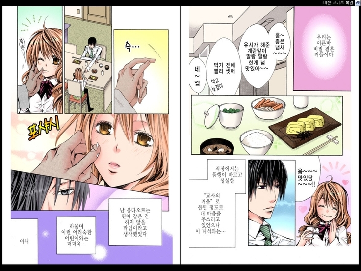 Naisho no Love Mariage | 비밀의 결혼