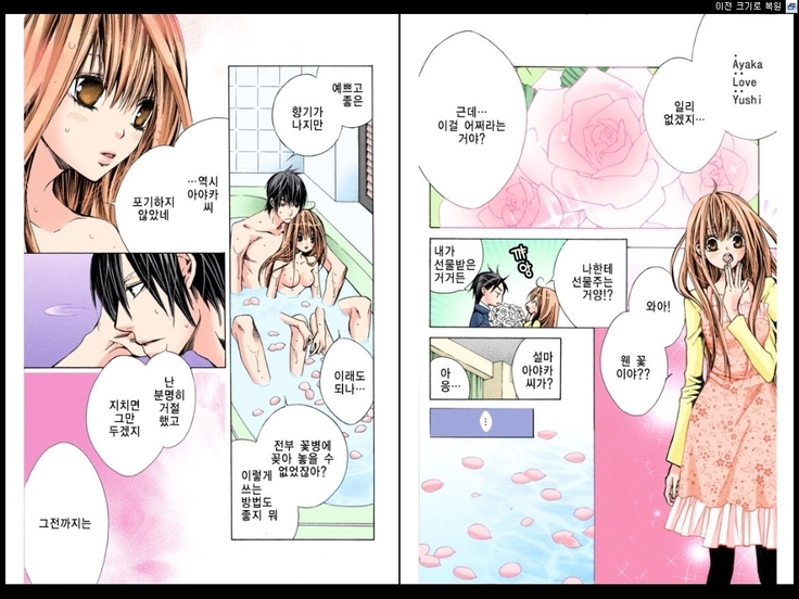 Naisho no Love Mariage | 비밀의 결혼