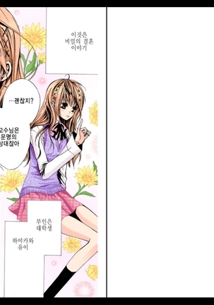 Naisho no Love Mariage | 비밀의 결혼 Page #17