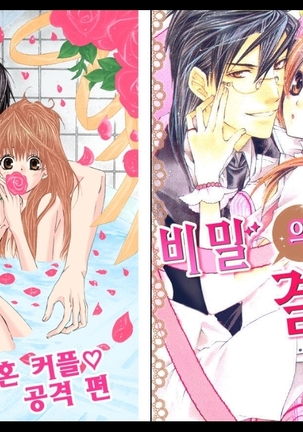 Naisho no Love Mariage | 비밀의 결혼
