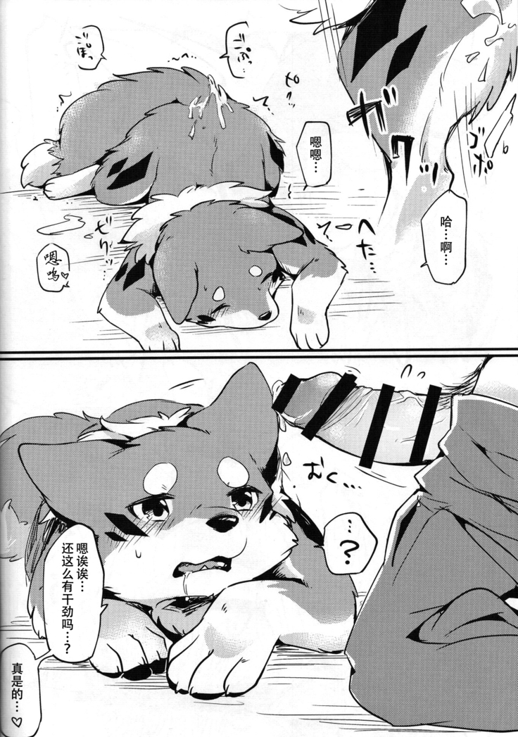 Kitsuneinu to Asobo!!