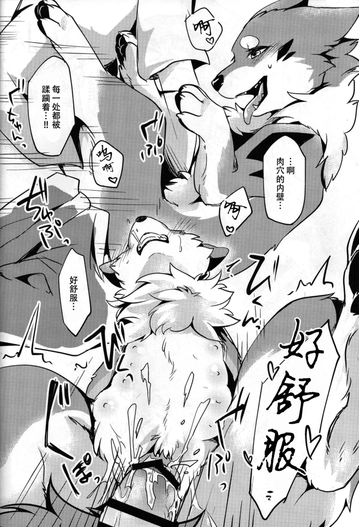 Kitsuneinu to Asobo!!