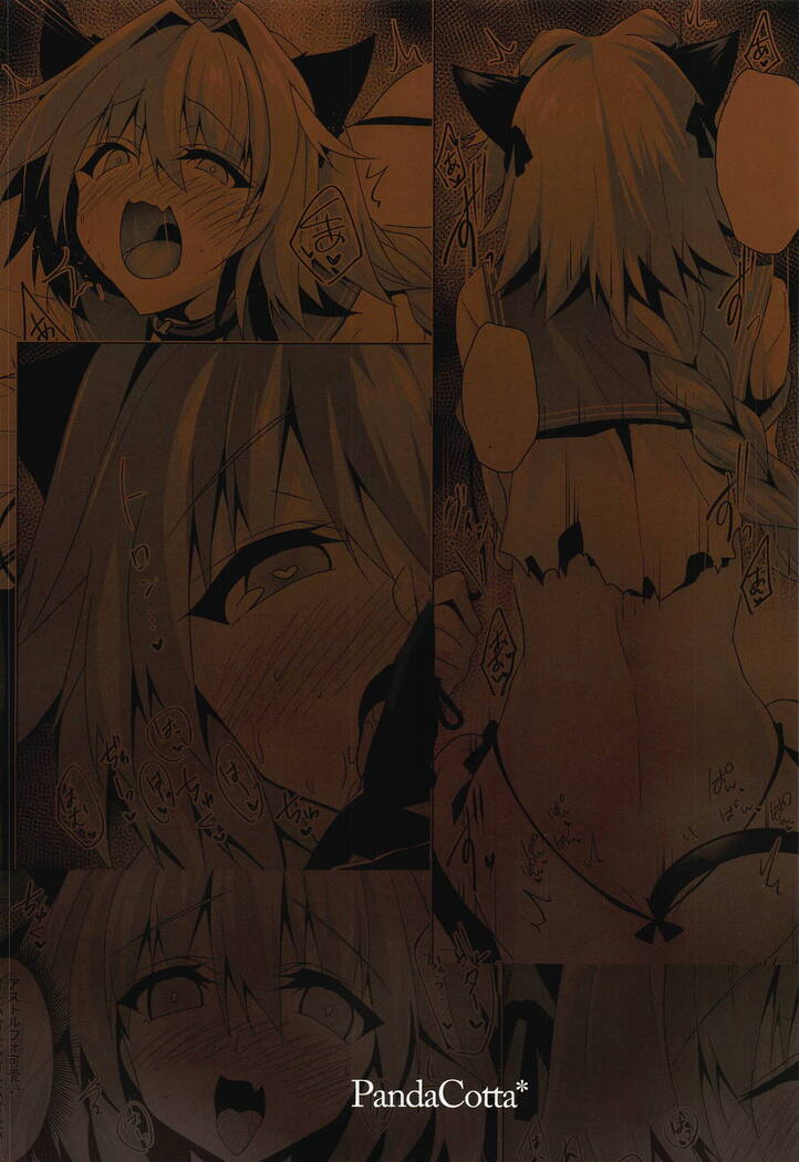Astolfo-kyun Mitetara Seibetsu Nante Doudemo Yokunarimashita 2