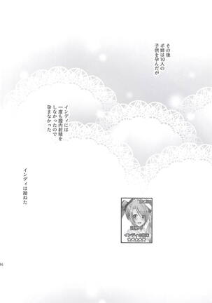 Inpoanaporipoka Kahitsu Shuuseiban Page #14