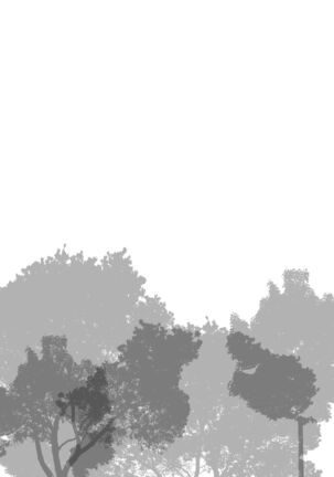 Image 12893594
