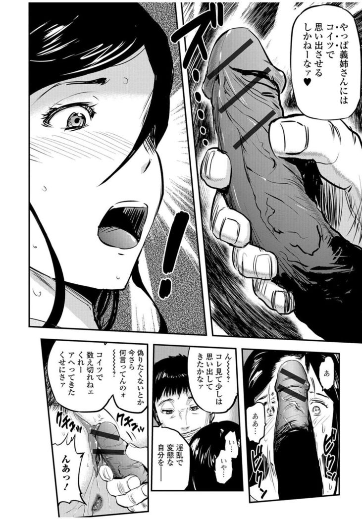 Web Comic Toutetsu Vol.13