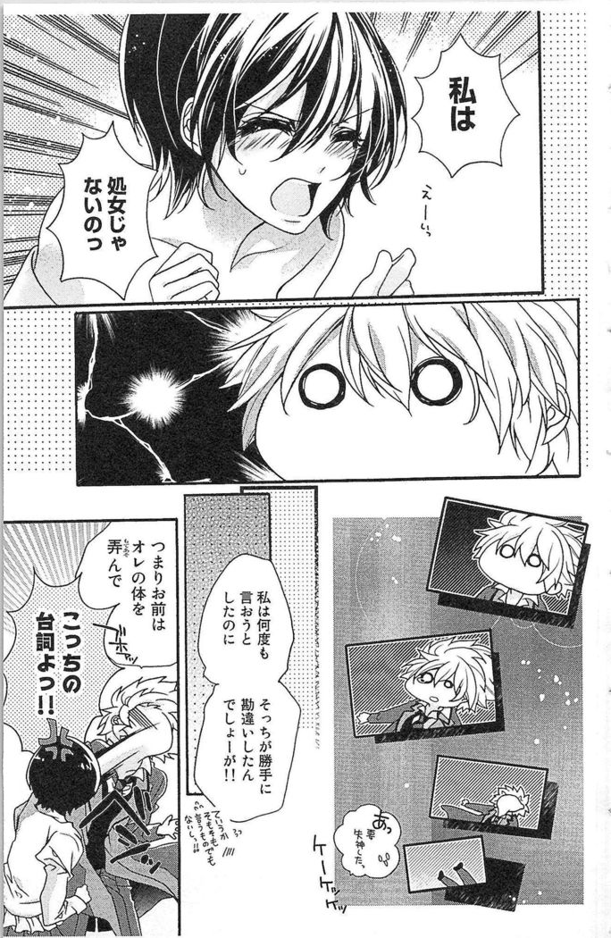 Seitokai no Tokken!