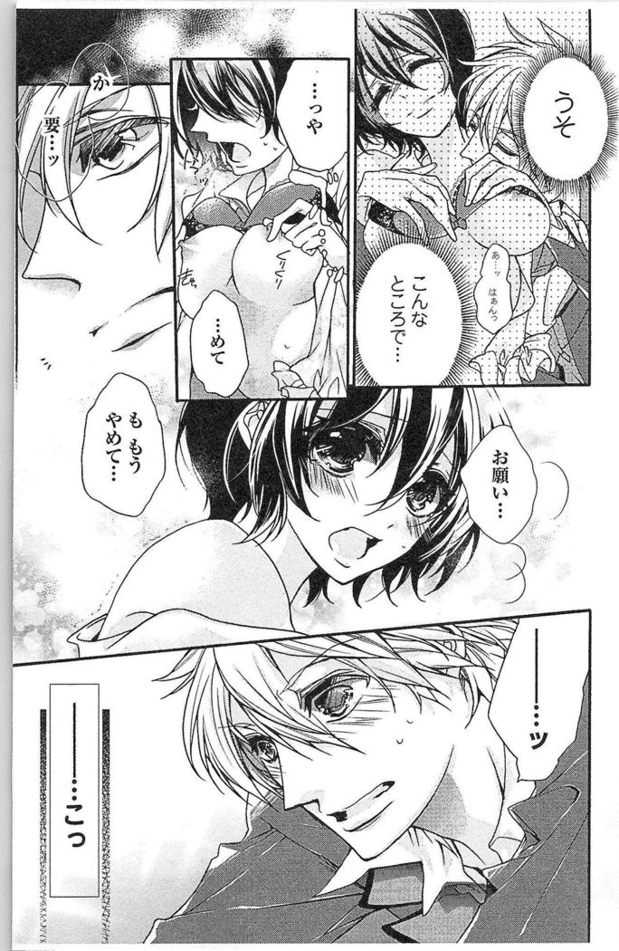Seitokai no Tokken!