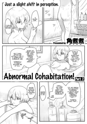 Doukyo Seikatsu Ijou Ari! | Abnormal Cohabitation! Page #17