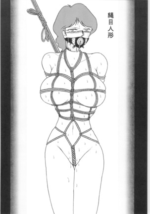 Pony's Bridle Page #93