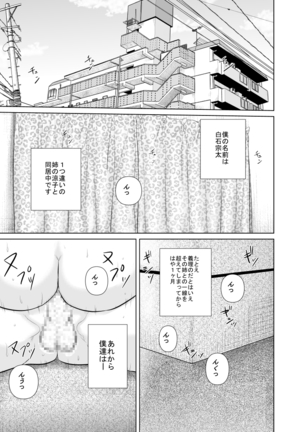 Nee-san Fuku wo Kitekudasai 2 - Page 3