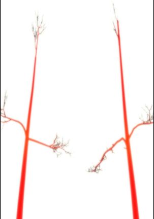 Lilith`s Cord Ch.1-39 Page #320