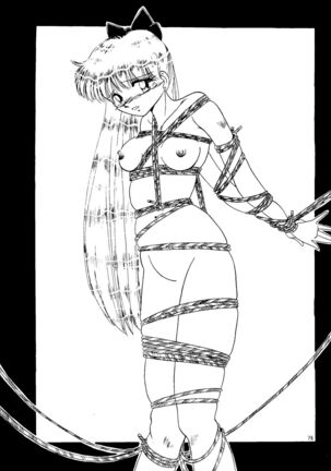 Super Sailor Moon X Page #74