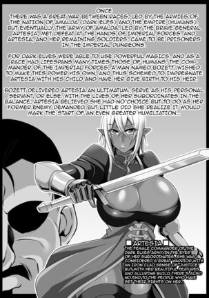 Onna Shougun Artesia - Dark Elf Haramase Choukyou Kiroku  {darknight} Page #2