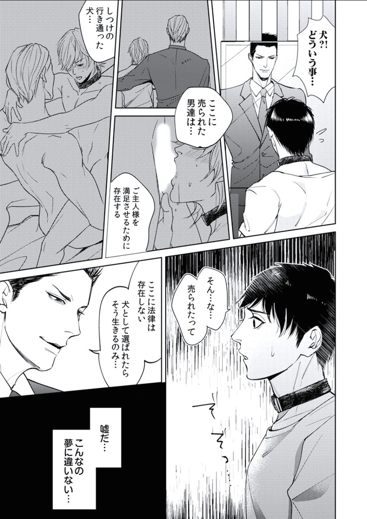 BOYS FAN vol.01