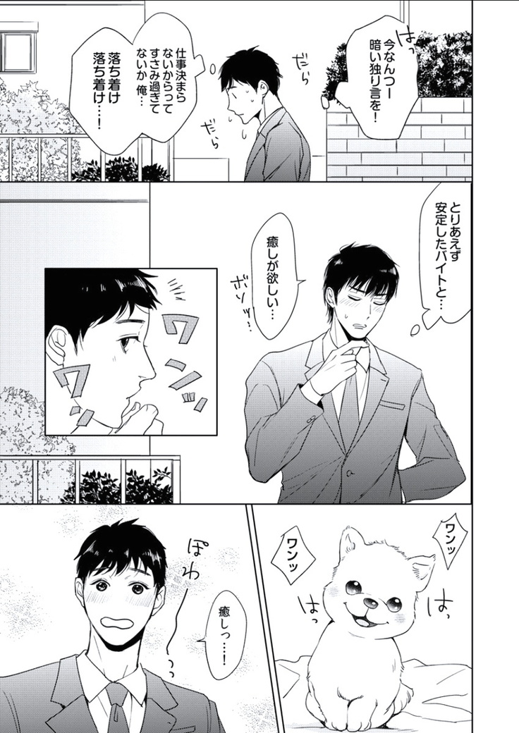 BOYS FAN vol.01