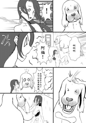 Image 11412140
