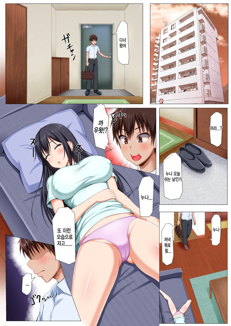 Boku no Nee-san ga Erosugite Komattemasu! 우리 누나가 너무 야해서 곤란해요!