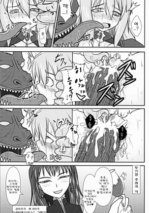 Shield Knight Elsain Vol. 9 SLAVE COLOSSEUM - Page 18