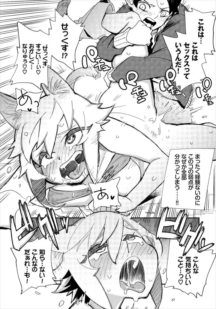 Dascomi Vol.5