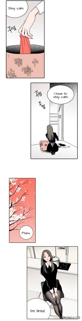 Rabbit Hole Ch.1-6