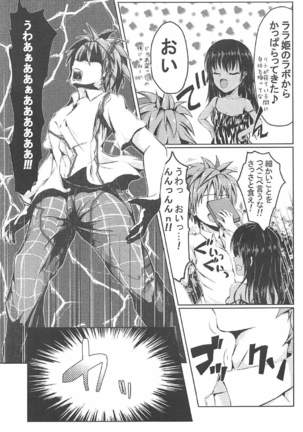 Image 2563547