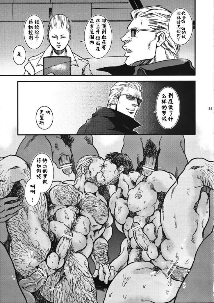 The MERCENARIES