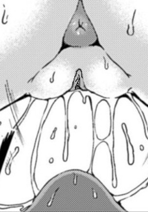 Uncensored  Umikemushi Mayu Page #49