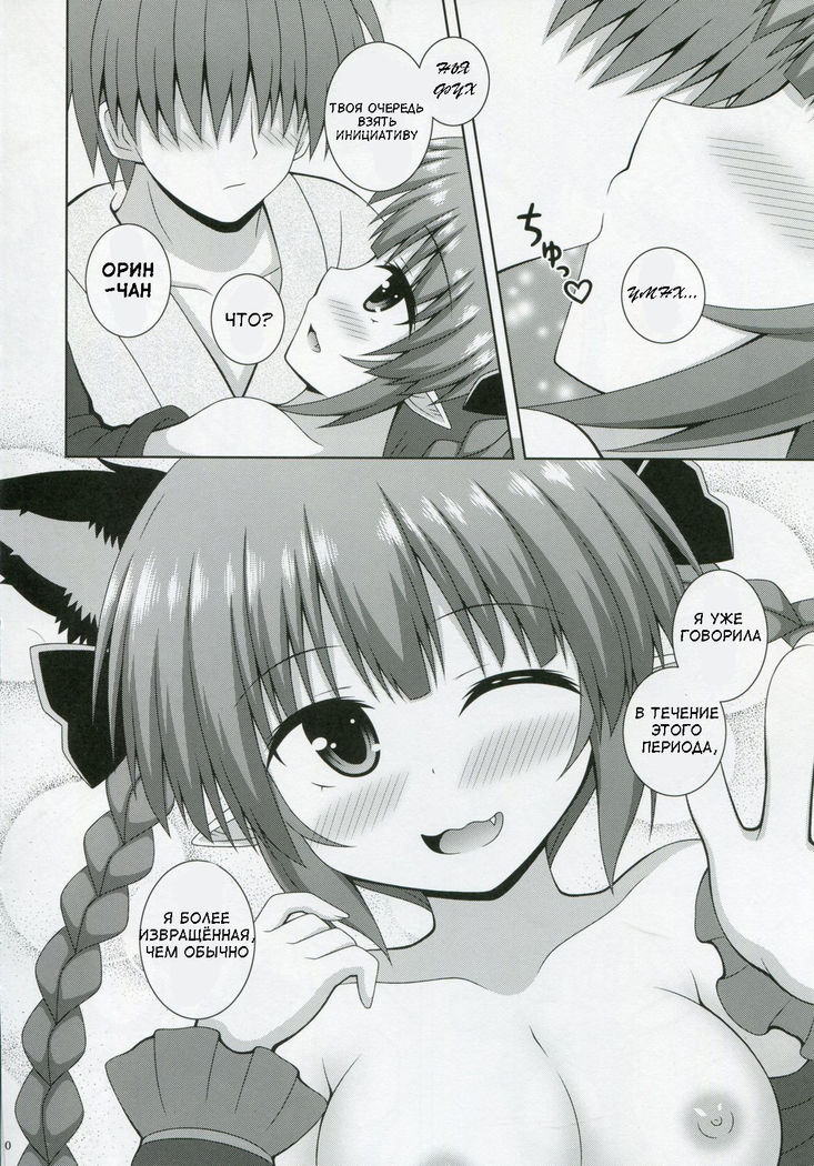Cat Motion