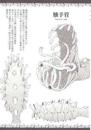 Syokusyu Zukan Page #4