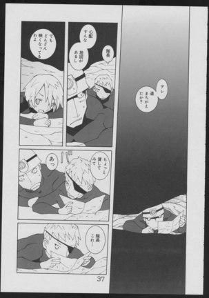 Nise - Seihonnou to Suibako Ikusa Page #37