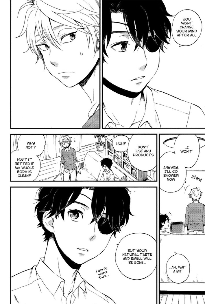 YES/NO