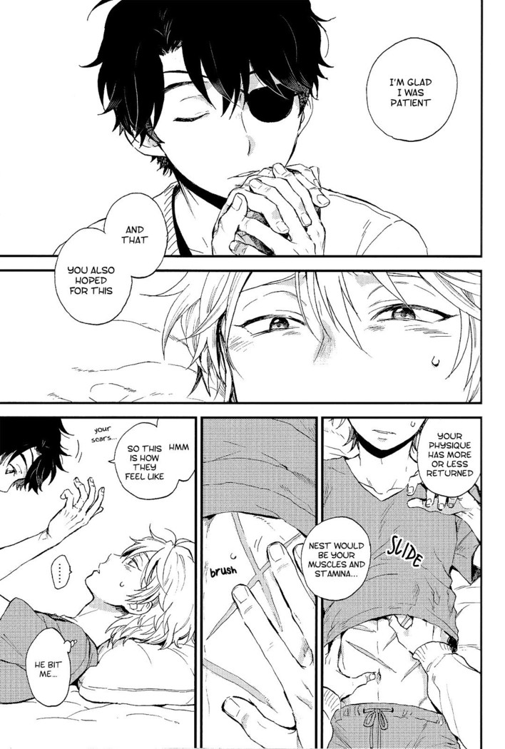 YES/NO