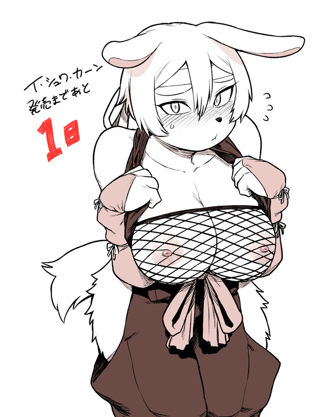 I shuwa kān ★ kabegami omake-tsuki