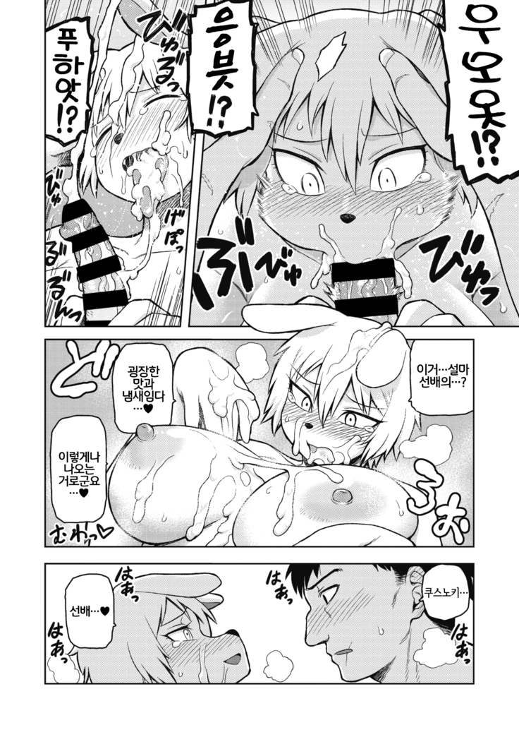 I shuwa kān ★ kabegami omake-tsuki