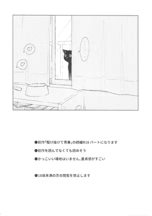 Image 14345967