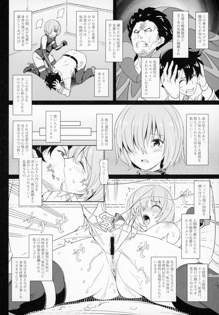 Kougyaku No Shielder Mash