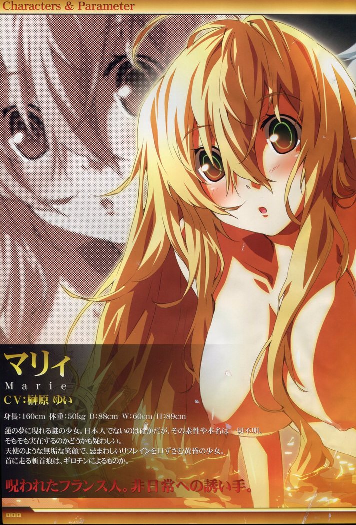 Dies irae Visual Fanbook - White Book