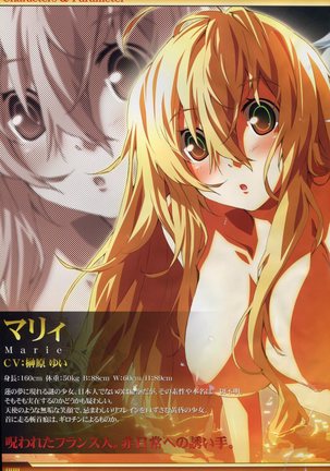 Dies irae Visual Fanbook - White Book