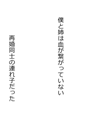 Boku o Tasukete Kureta Ane ga Konotabi, DQN-tachi ni Mechakucha ni Saremashita. - Page 29