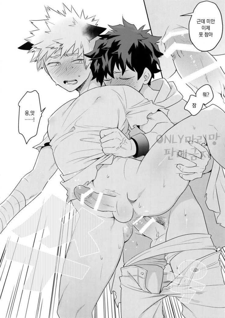 Invisible Lover