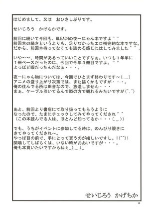 Yoruichi Nyan no Hon 2 Page #4