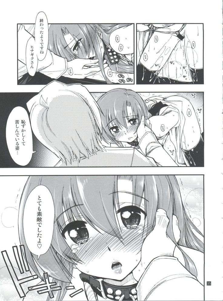 Hina to Hayate 1