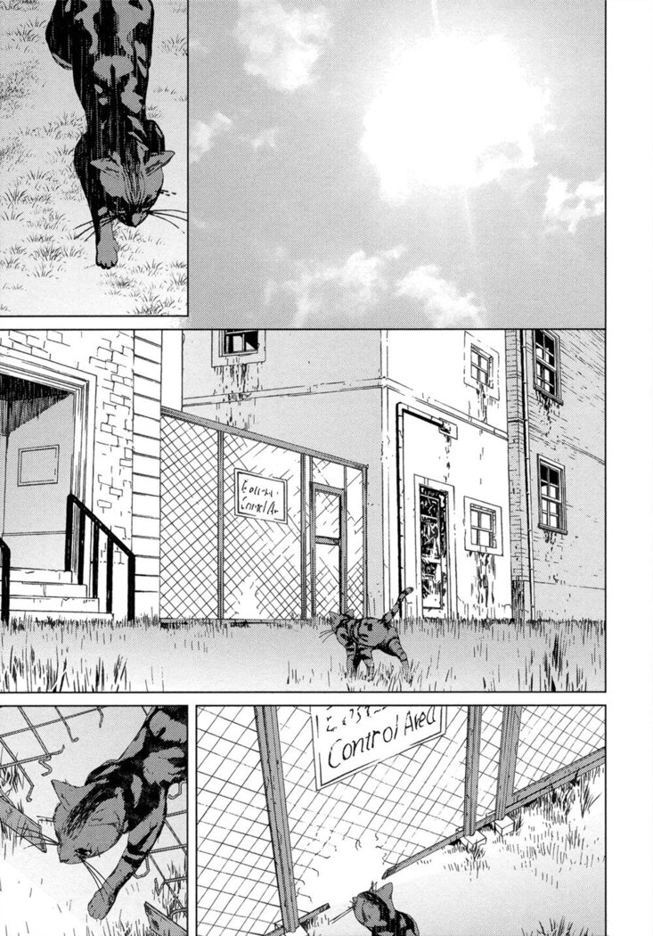 Coyote vol.2 + Extras