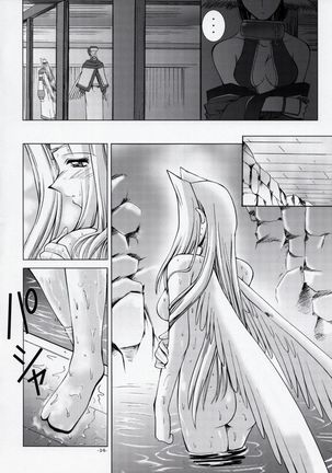 MISTRAL Page #13