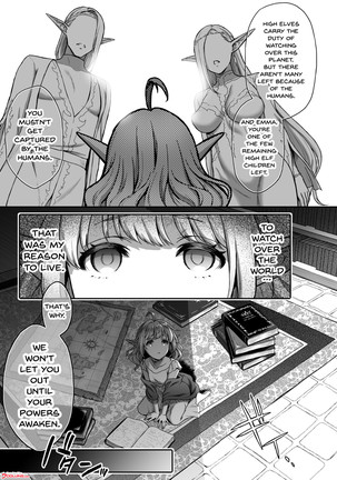 Tasogare no Shou Elf 4 | Twilight's Prostitute Elf 4 - Page 4
