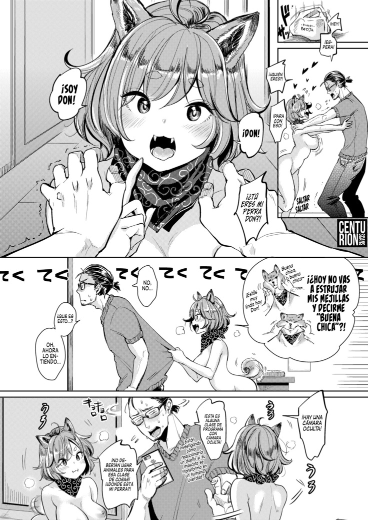 Inu no aijō | Amor de Perro