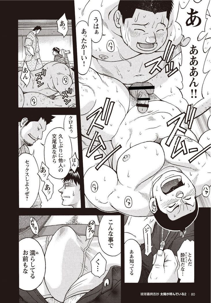 Taiyou ga Yonde Iru 2