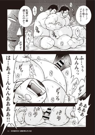 Taiyou ga Yonde Iru 2 Page #13